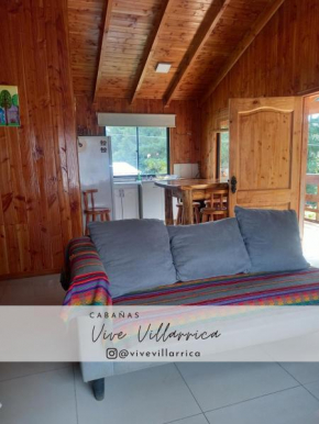 Cabaña 1 Vive Villarrica